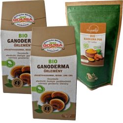  2 db Bio rlt ganoderma 20 g-os dobozos+ Ajndk Bio Kurkuma Por