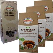   3 db Bio őrölt ganoderma 20 g-os dobozos + Ajándék szárított barna csiperke