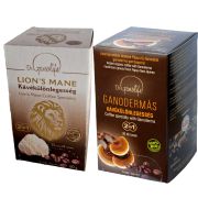  Lion's Mane  & Ganoderms  kvklnlegessg