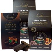   2 db Ganodermás Kávékülönlegesség 2in1  (120 g) + Bio csokoládés szeletek kávés 100g